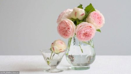 Что делать для того, чтобы розы долго стояли в вазе? 